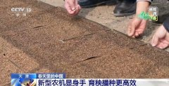 提高了尺度化程度